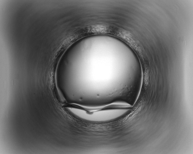 X0000094080449200711021516