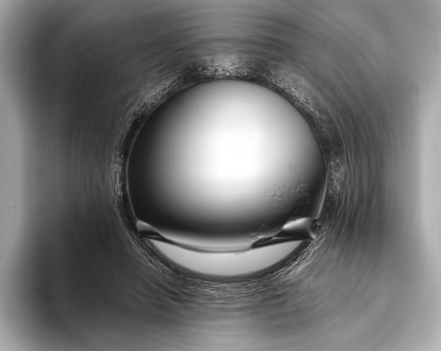 X0000094080450200711021516