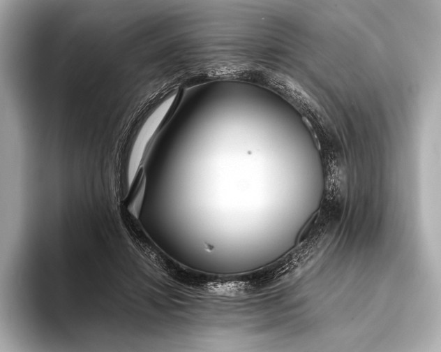 X0000094080452200711021516