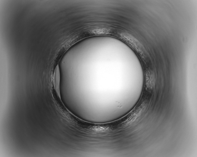 X0000094080453200711021516