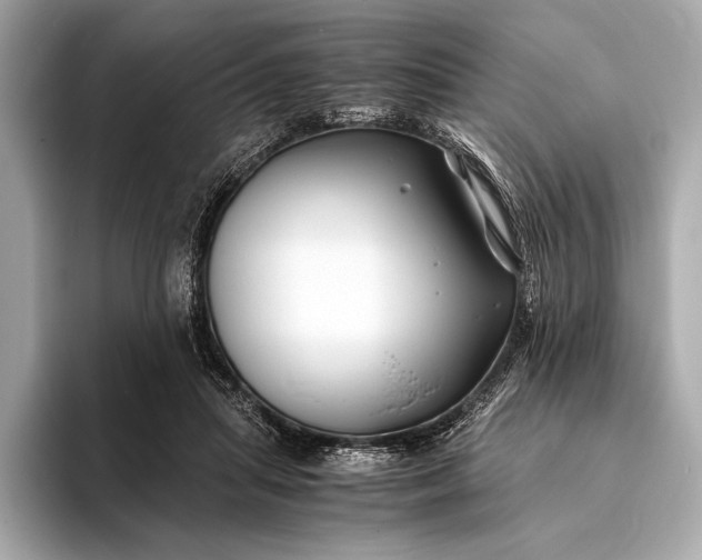 X0000094080455200711021516