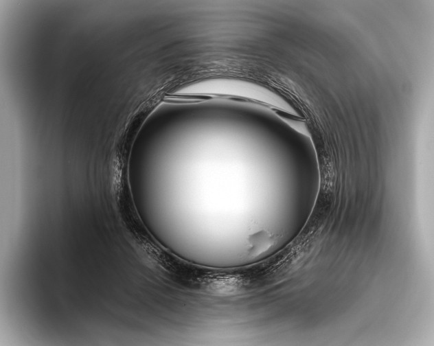 X0000094080456200711021516