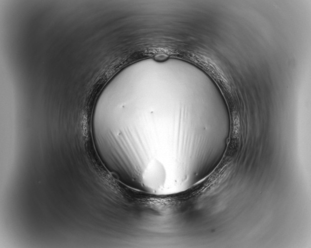 X0000094080457200711021516