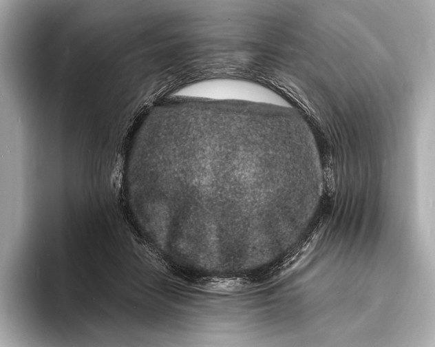 X0000094080458200711021516