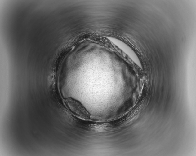 X0000094080462200711021516