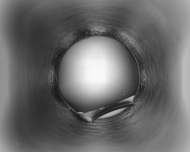 X0000094080463200711021516