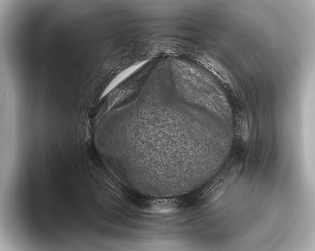 X0000094080465200711021516