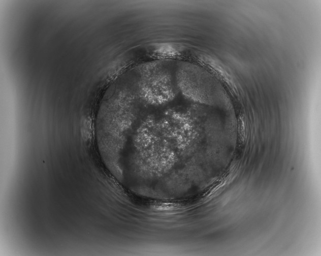 X0000094080467200711021516