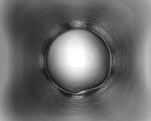 X0000094080469200711021516