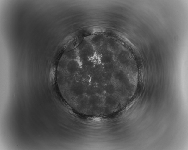 X0000094080475200711021516