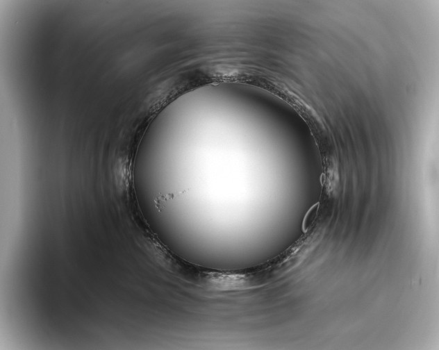 X0000094080476200711021516