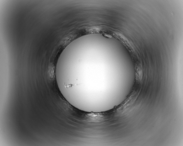 X0000094080477200711021516