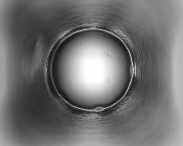 X0000094080483200711021516