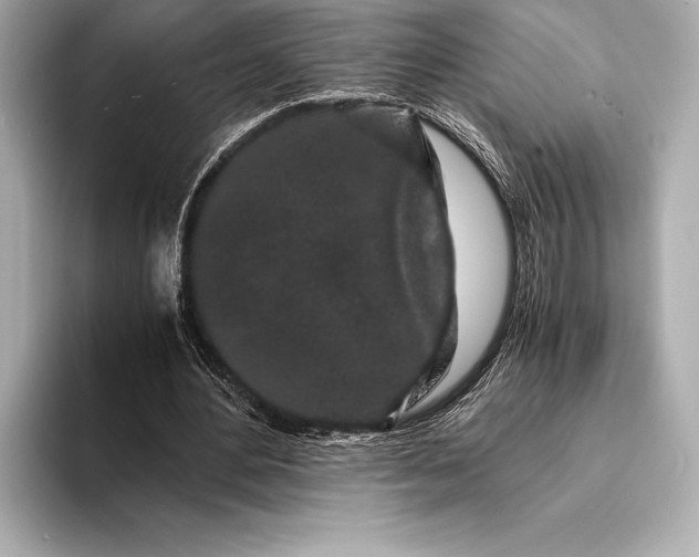 X0000094080484200711021516