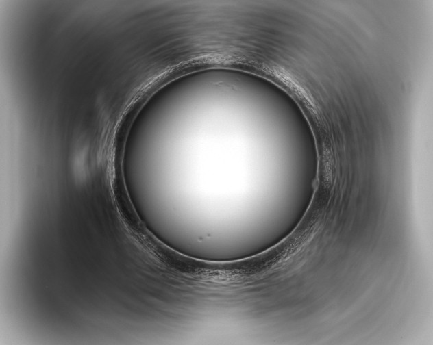 X0000094080486200711021516