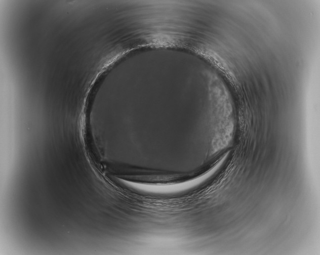 X0000094080488200711021516