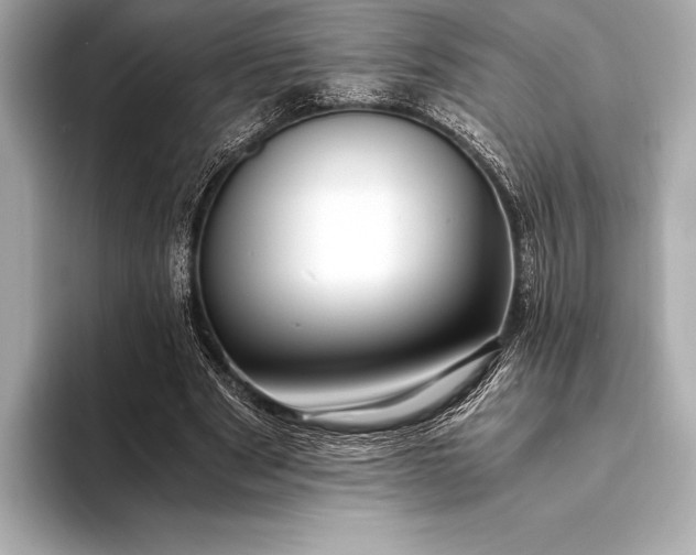 X0000094080489200711021516