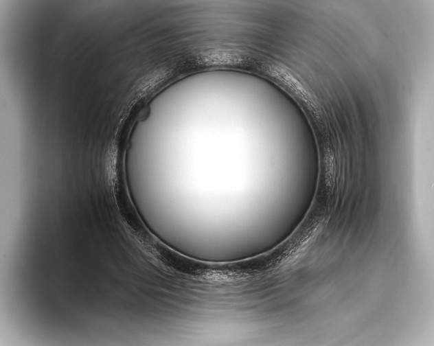 X0000094080490200711021516