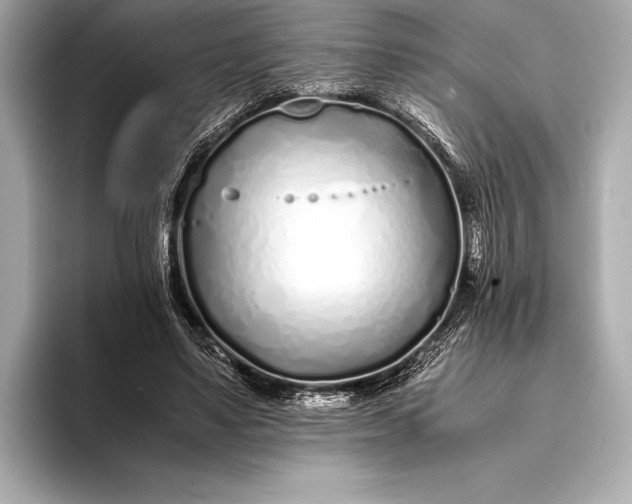 X0000094080491200711021516