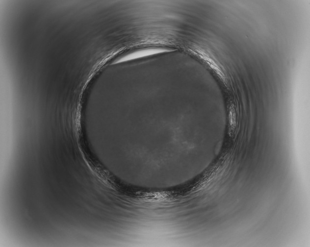 X0000094080492200711021516