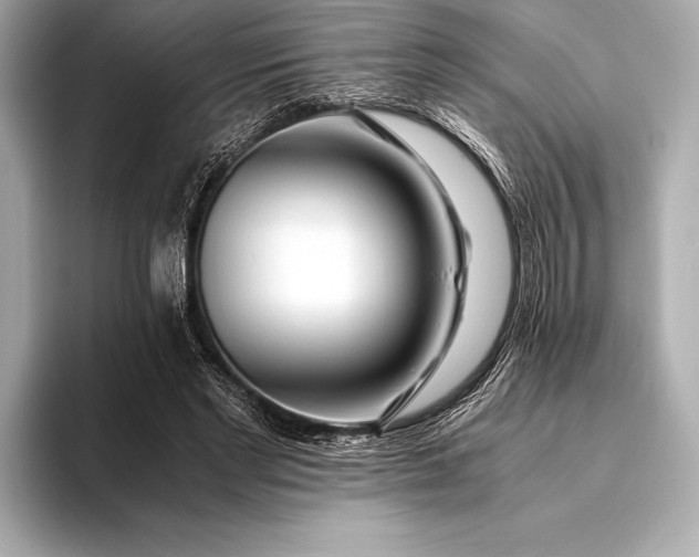 X0000094080493200711021516