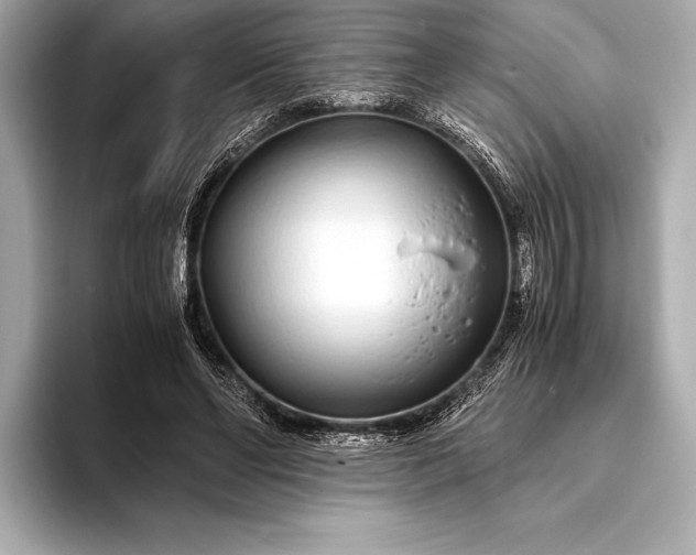 X0000094080494200711021516