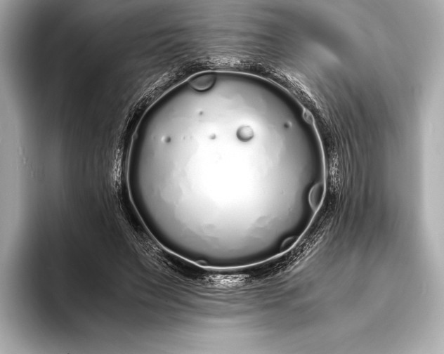 X0000094080495200711021516