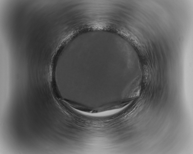 X0000094080496200711021516