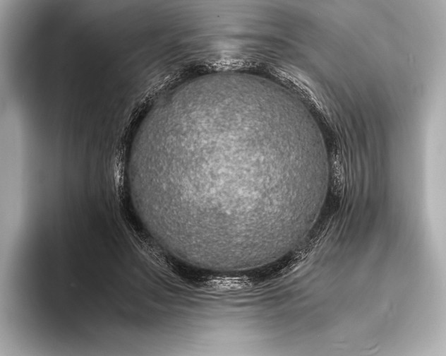 X0000094080499200711021516