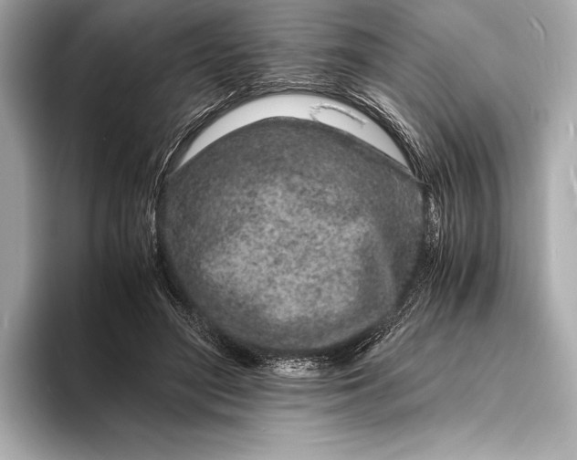 X0000094080500200711021516