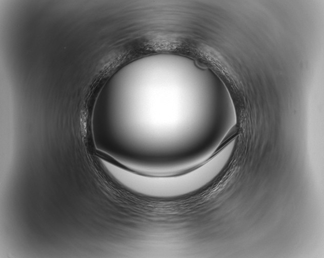 X0000094080501200711021516