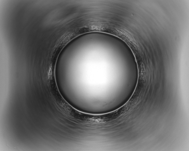 X0000094080502200711021516