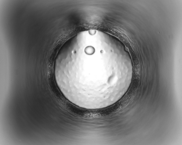 X0000094080503200711021516