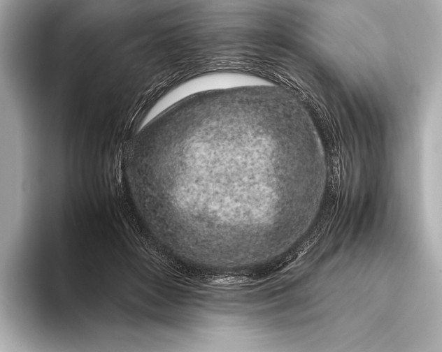 X0000094080504200711021516