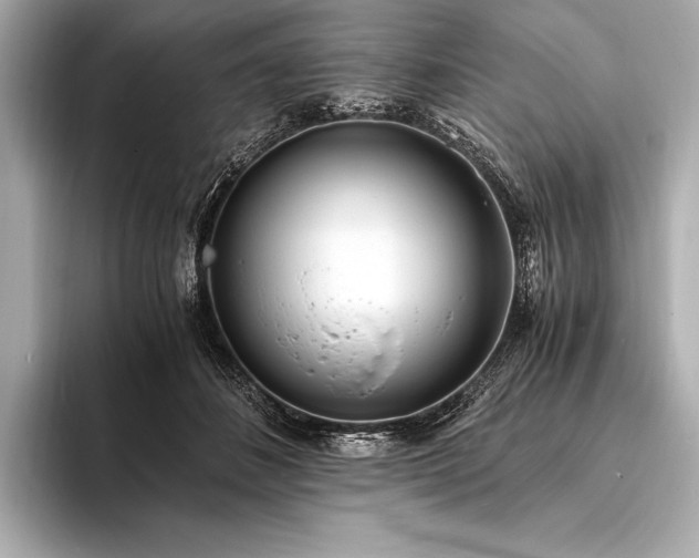 X0000094080508200711021516