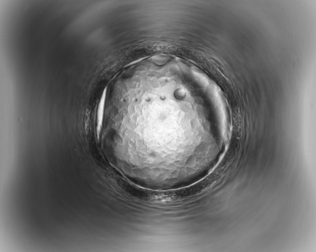 X0000094080511200711021515