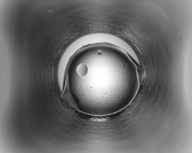 X0000094080512200711021515