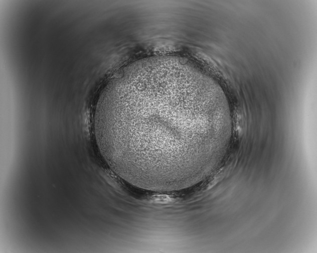 X0000094080519200711021515