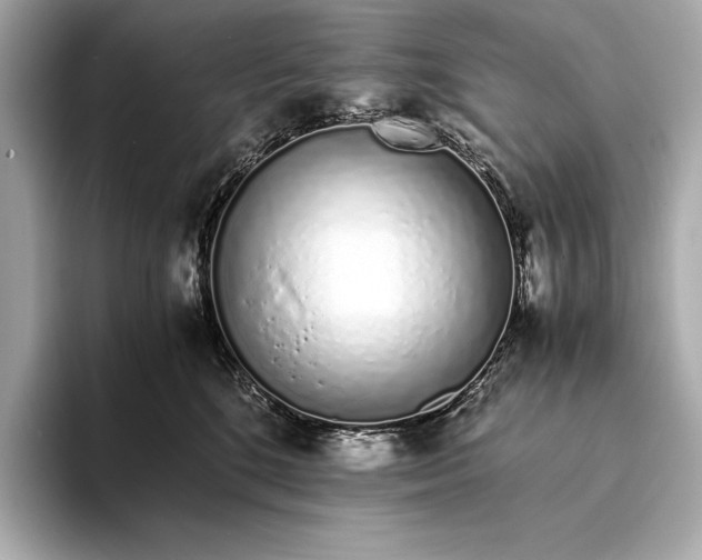 X0000094080520200711021515