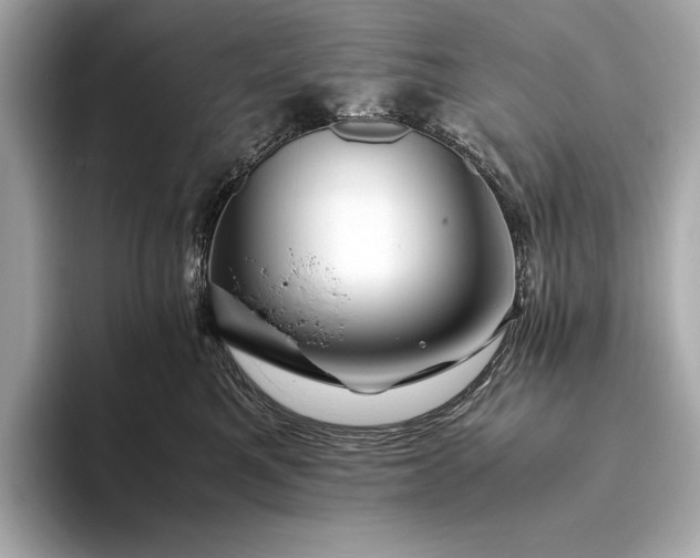 X0000094080521200711021515