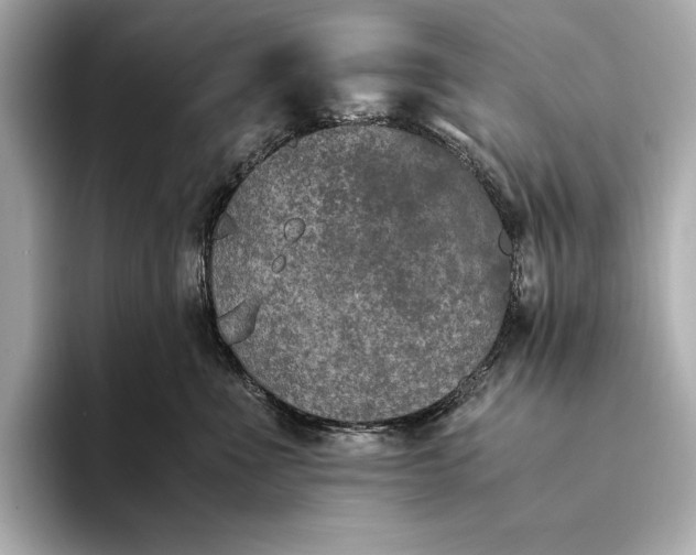 X0000094080523200711021515