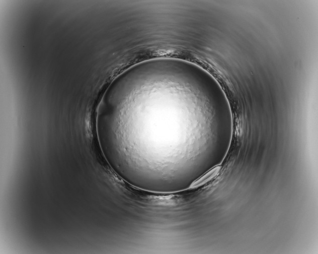 X0000094080524200711021515