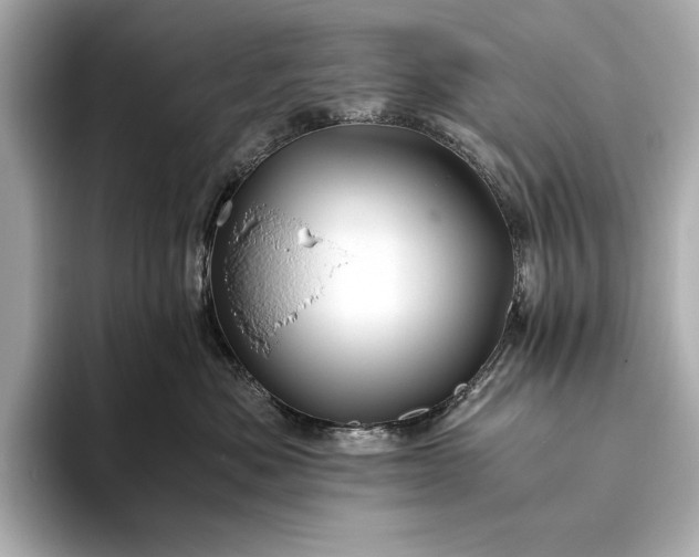 X0000094080525200711021515