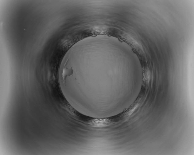 X0000094080526200711021515