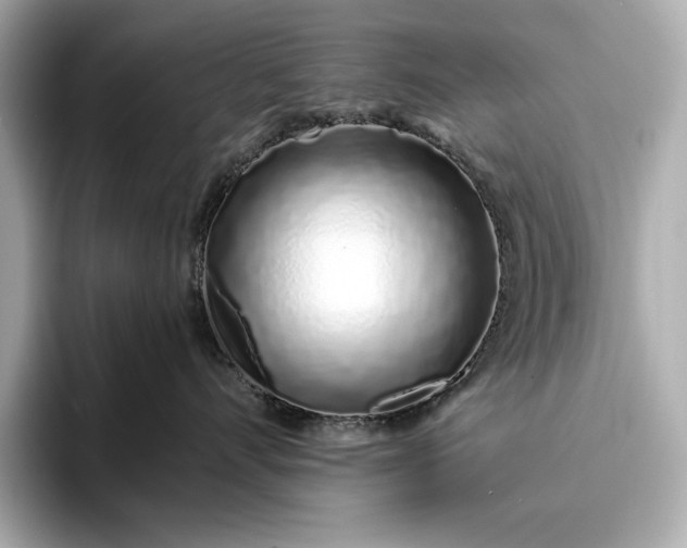 X0000094080528200711021515