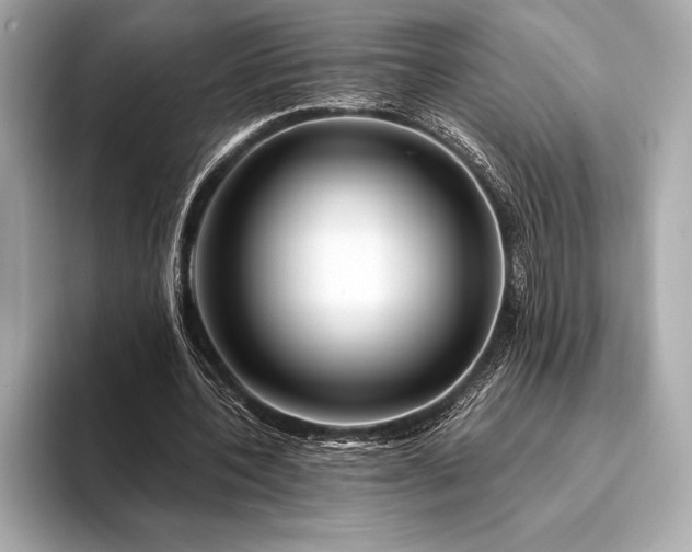 X0000094080532200711021515