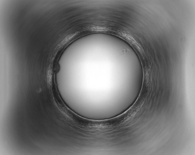 X0000094080533200711021515