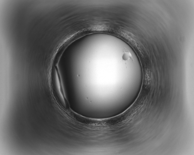 X0000094080535200711021515