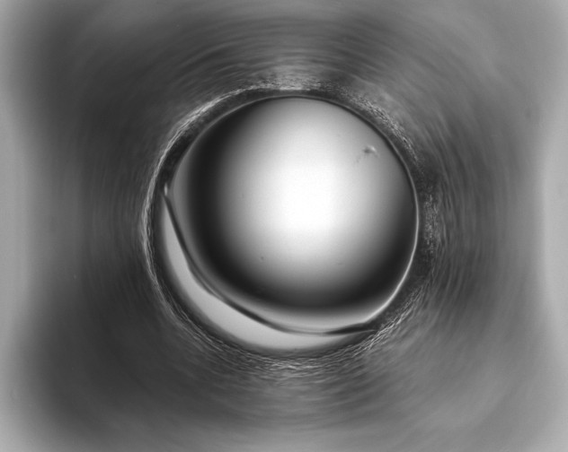 X0000094080536200711021515