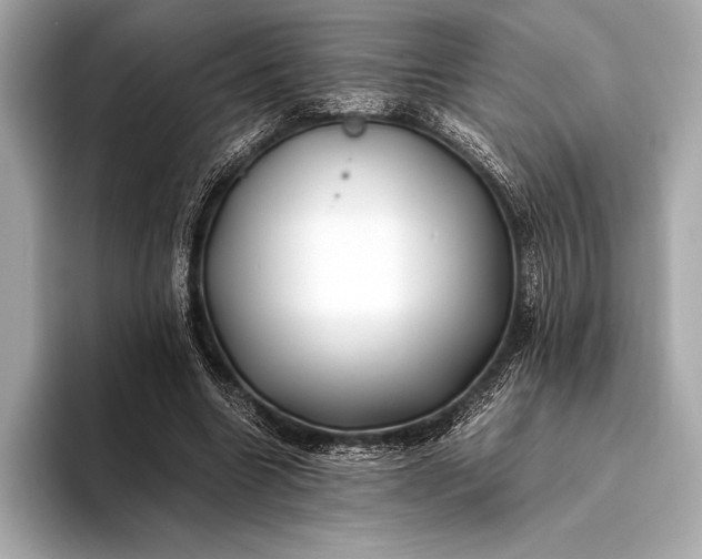 X0000094080538200711021515